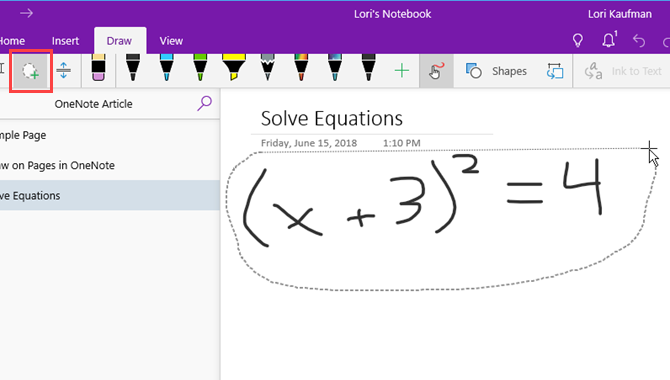 Use the Lasso tool to select your equation