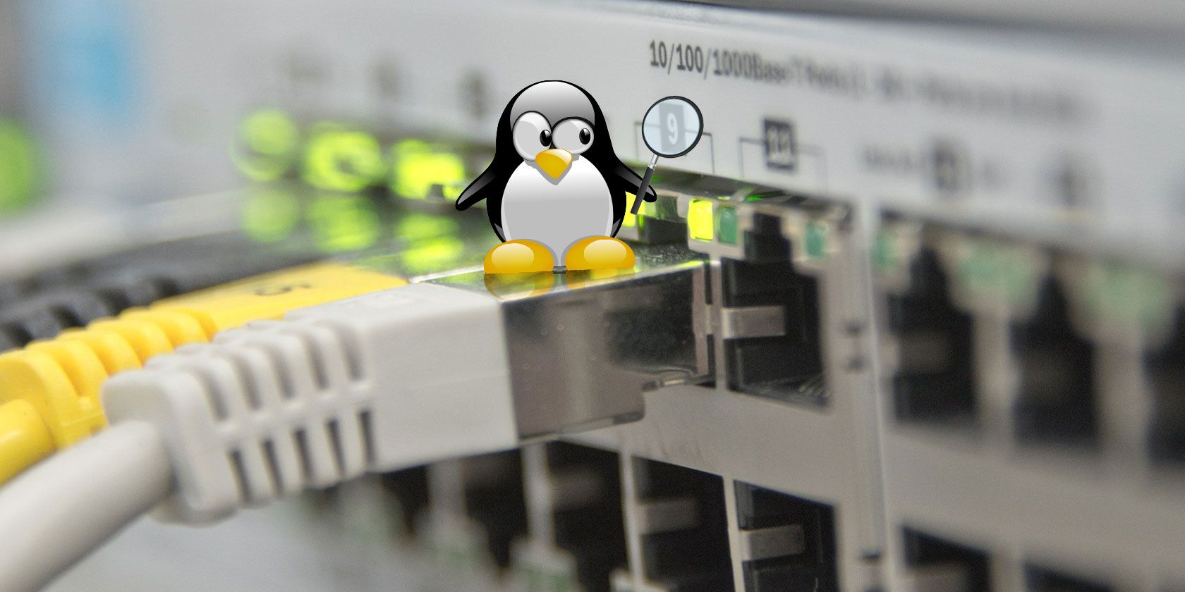 manage-ip-linux