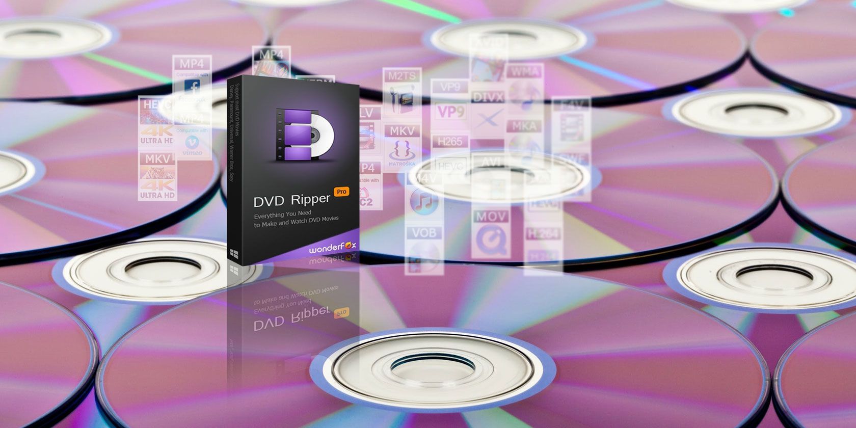 WonderFox DVD Ripper Pro 22.6 for ios instal free