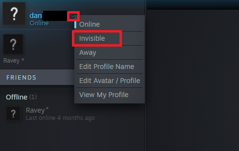 steam chat invisible