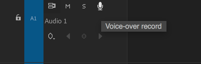 Premiere Pro voice over record button