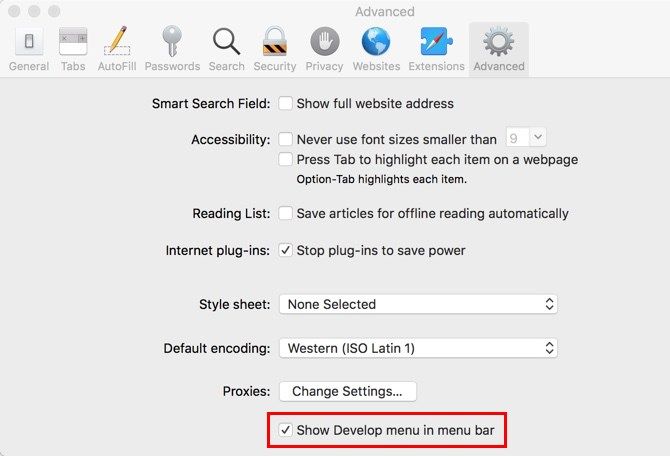 Safari Enable Developer Options