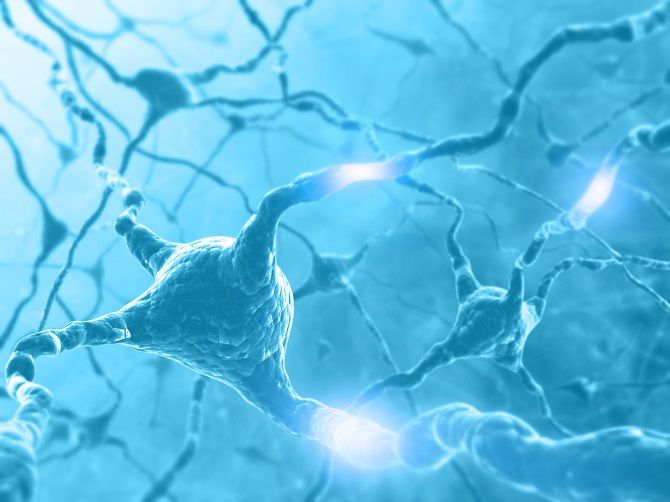 Computer Generated Image Of Neurons and Neural Pathways
