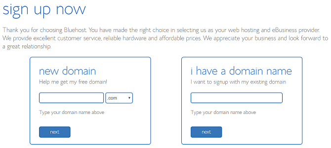 choose bluehost domain name