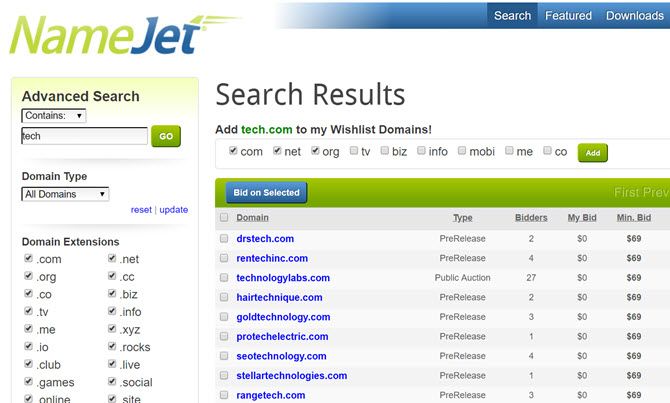 namejet domain auctions
