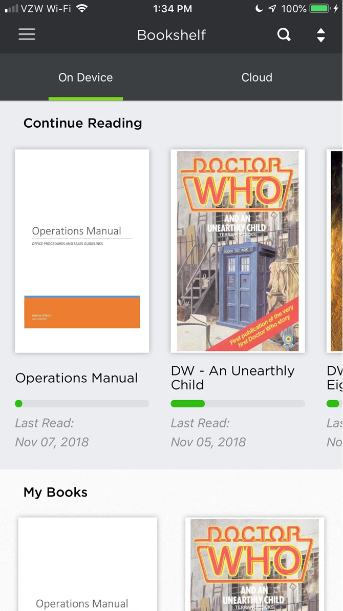 Company document in BookFusion Reader on iOS