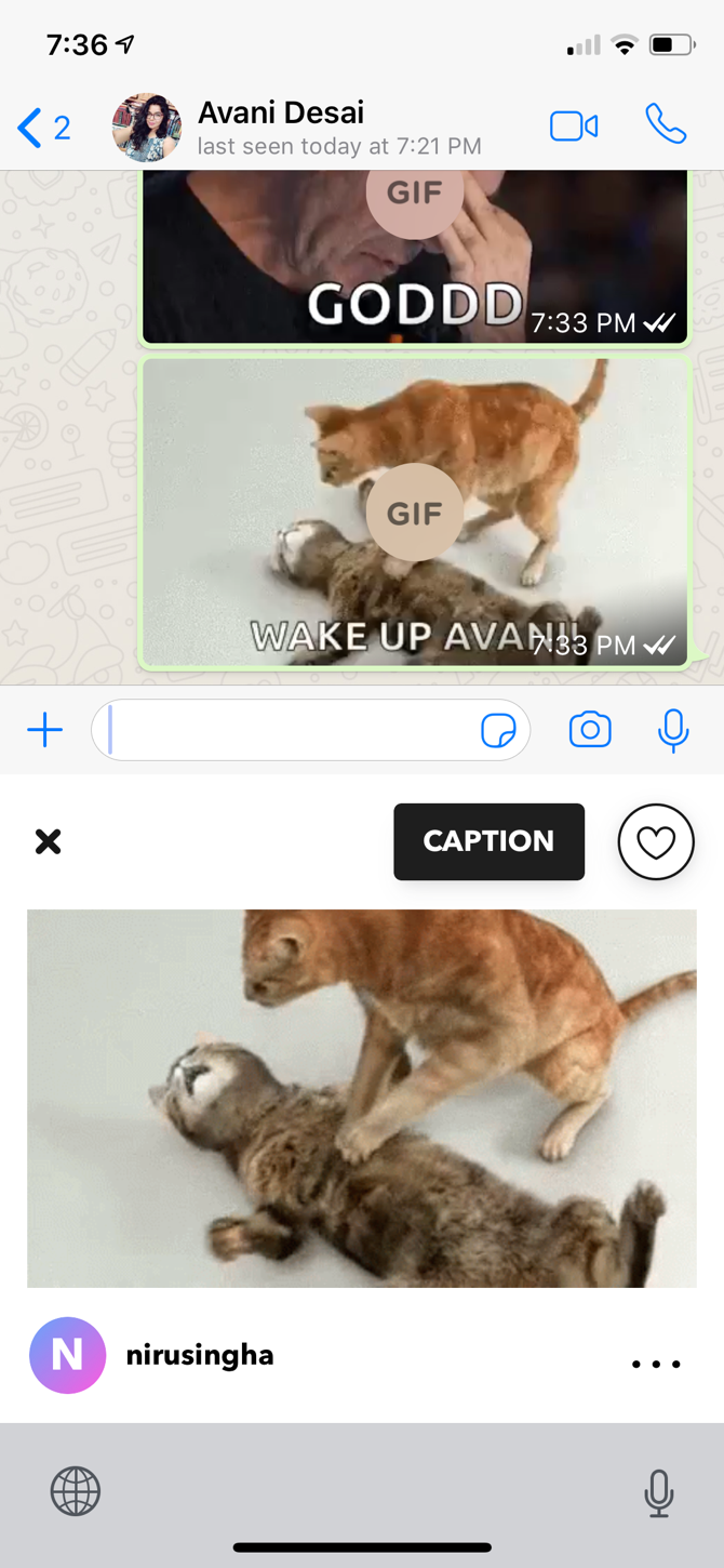 GIF Keyboard for iPhone Adding Caption 2