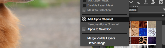 add alpha channel gimp