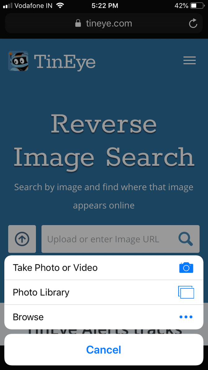 reverse image search iphone