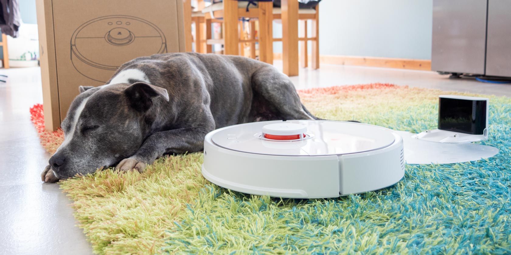 Робот пылесос для квартиры с животными. Робот для собак миска.