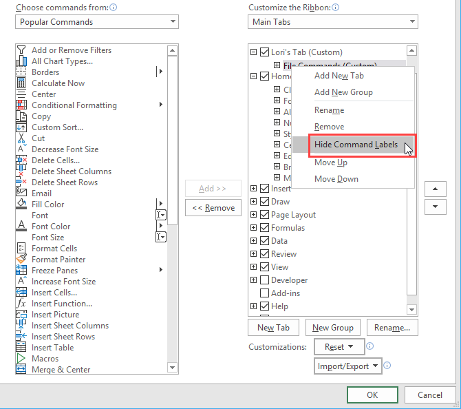 Select Hide Command Labels for the Excel ribbon on the Excel Options dialog box