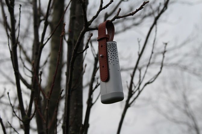Photograph of Flow In A Tree With Strap Displayed