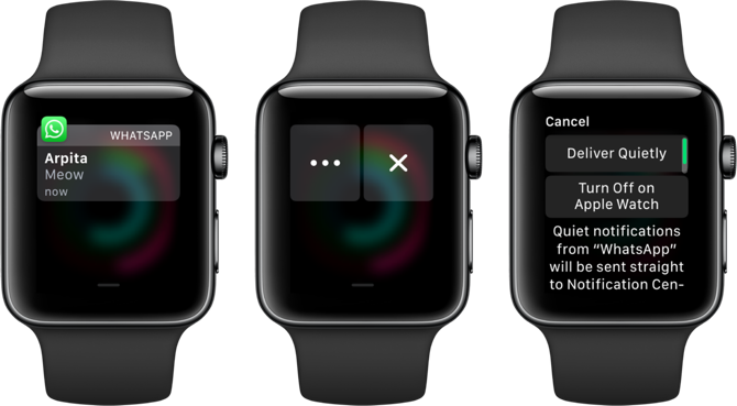 Apple Watch Turn off Notifications