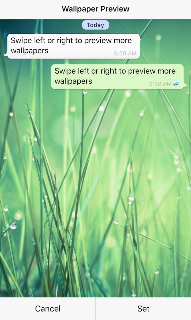 whatsapp-wallpaper-preview-on-iphone