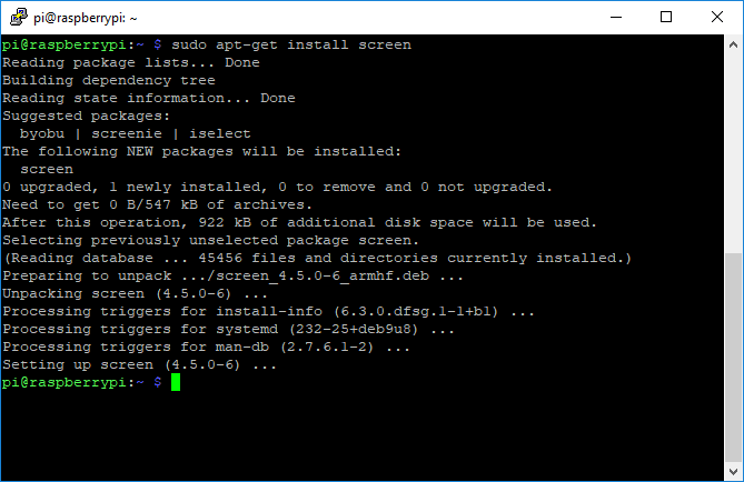 GNU Screen Terminal Installation Apt