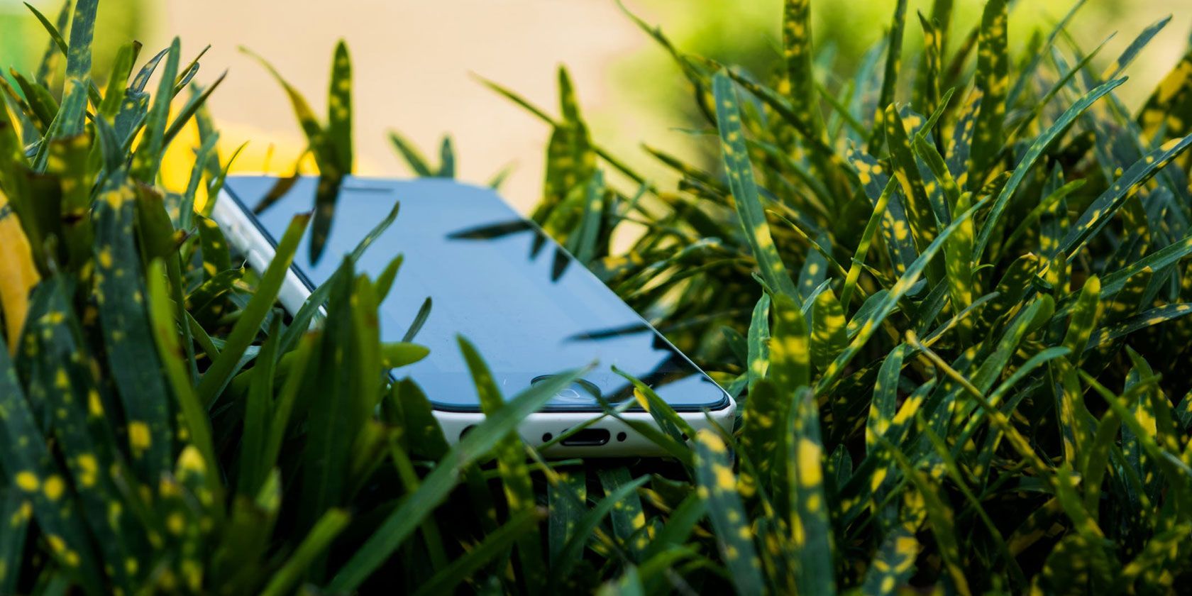 Smartphone lying in long grass