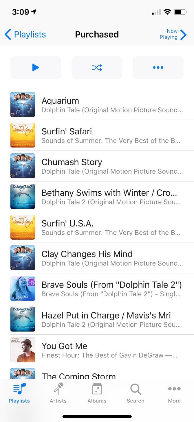 iTunes Remote Songs