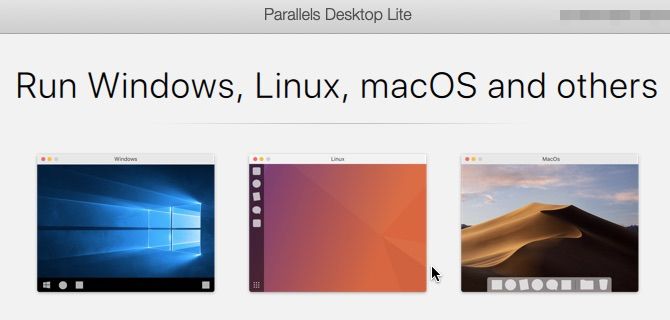Startup screen in Parallels Desktop Lite on macOS