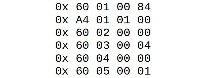 Machine Code Example