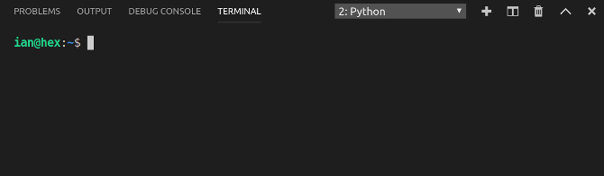 The built-in, fully functional terminal in Code-OSS