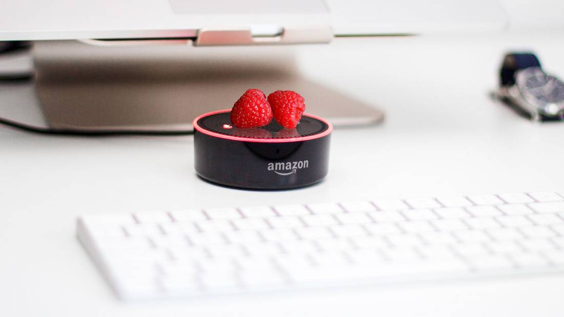 Build Your Own Amazon Alexa Smart Speaker With a Raspberry Pi