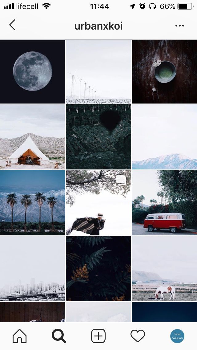 The Instagram feed of urbanxkoi