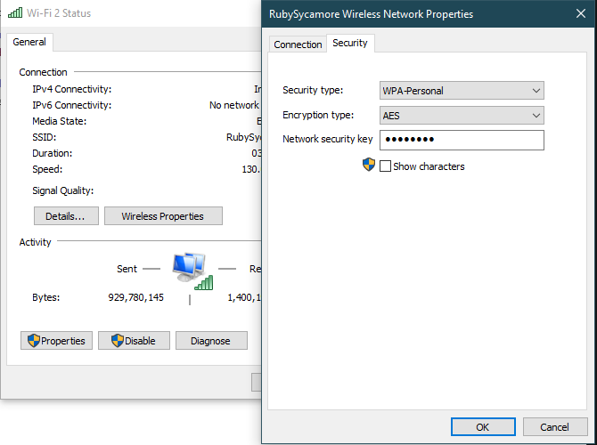 Windows Show Network Password