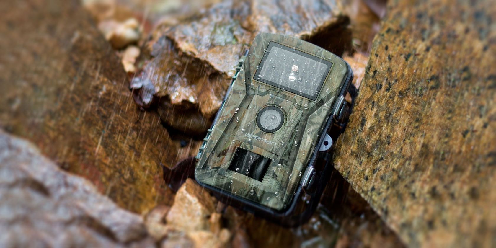 The 5 Best Trail Cameras for All Budgets