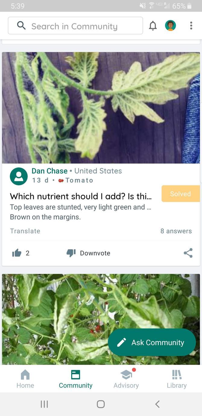 Plantix Garden App Plant Advice