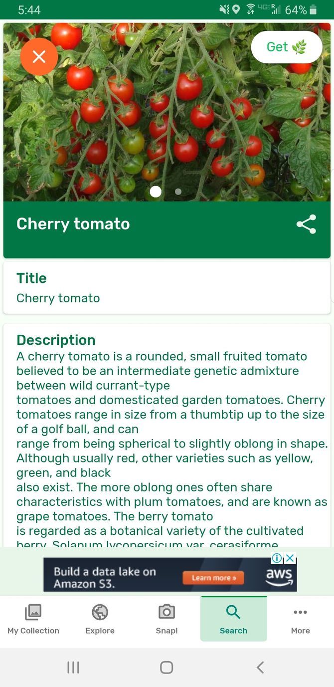 PlantSnap Gardening App Plant Information