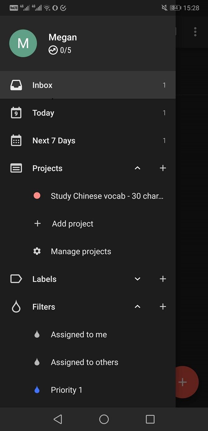 todoist app labels and projects