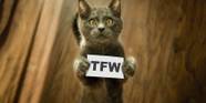 What Does TFW Mean The TFW Acronym Explained