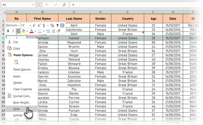 Hide Rows in Excel