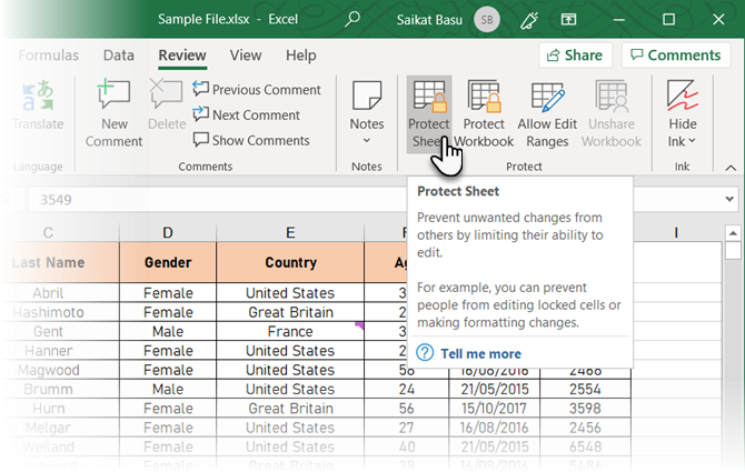 Click Protect Sheet in Excel