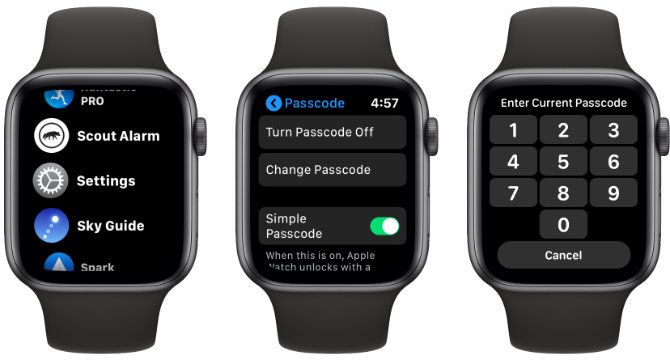 Apple Watch Change Password