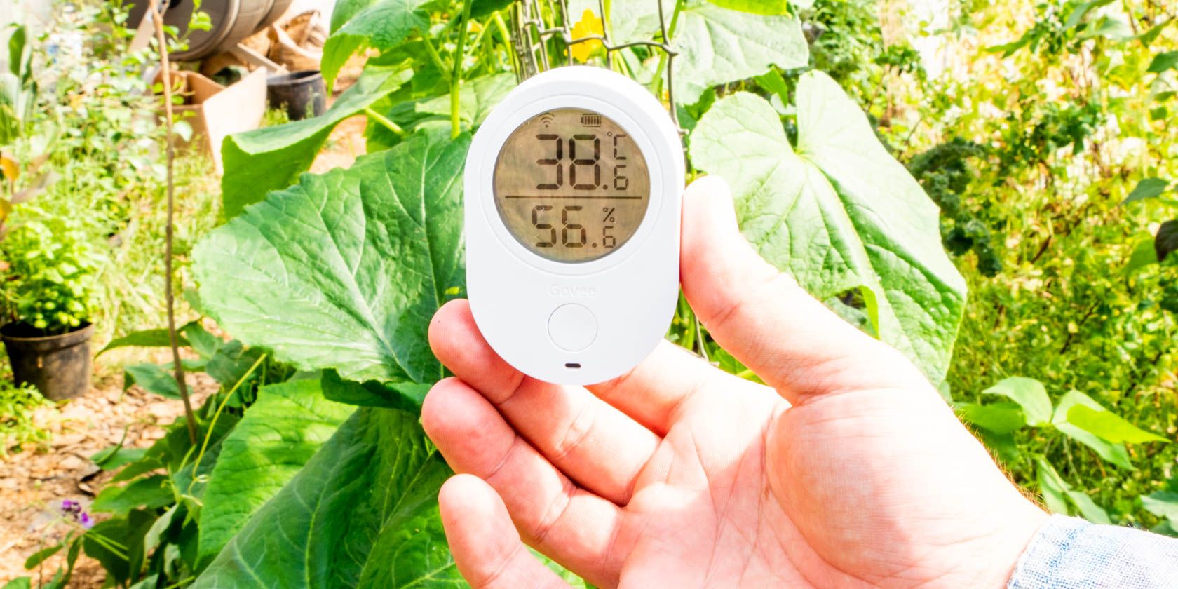 No More Dead Plants, with The Govee Wi-Fi Temperature and Humidity
