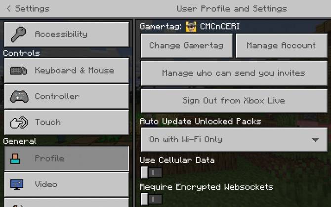 Controls For Minecraft On