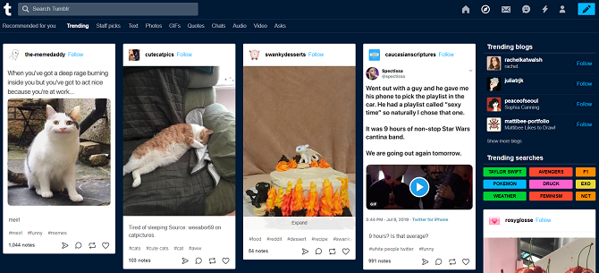 Tumblr explore tab