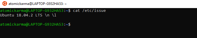 use the issue command to check your Linux version