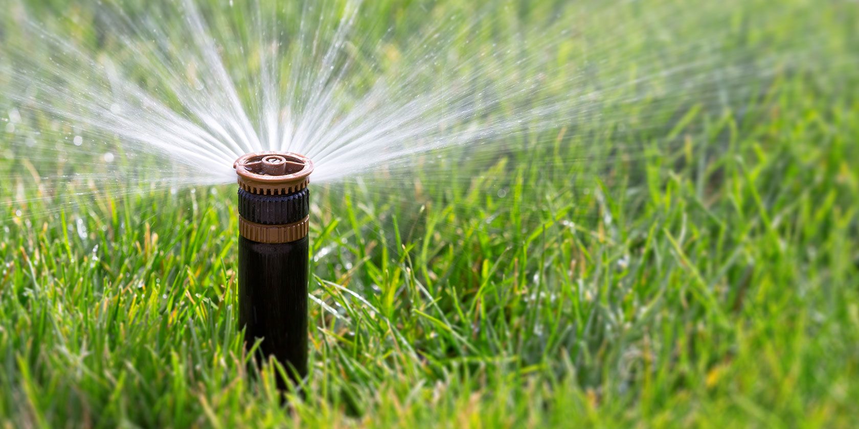 The 5 Best Smart Sprinkler Systems To, Best Smart Garden Watering System