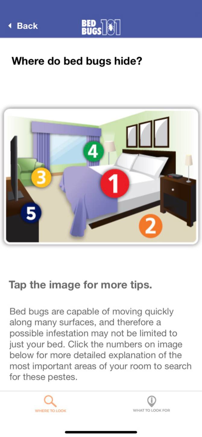 BedBugs 101 Tips för att hitta buggar