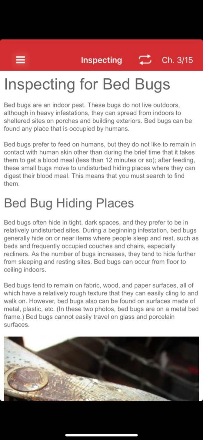 Bed Bugs Field útmutató hol hibákat elrejteni