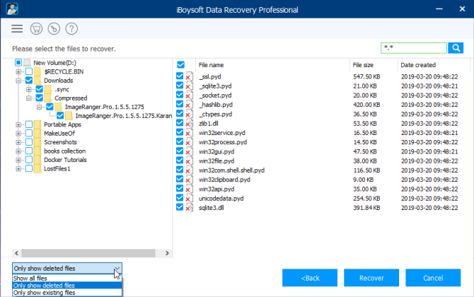 iBoysoft file recovery process