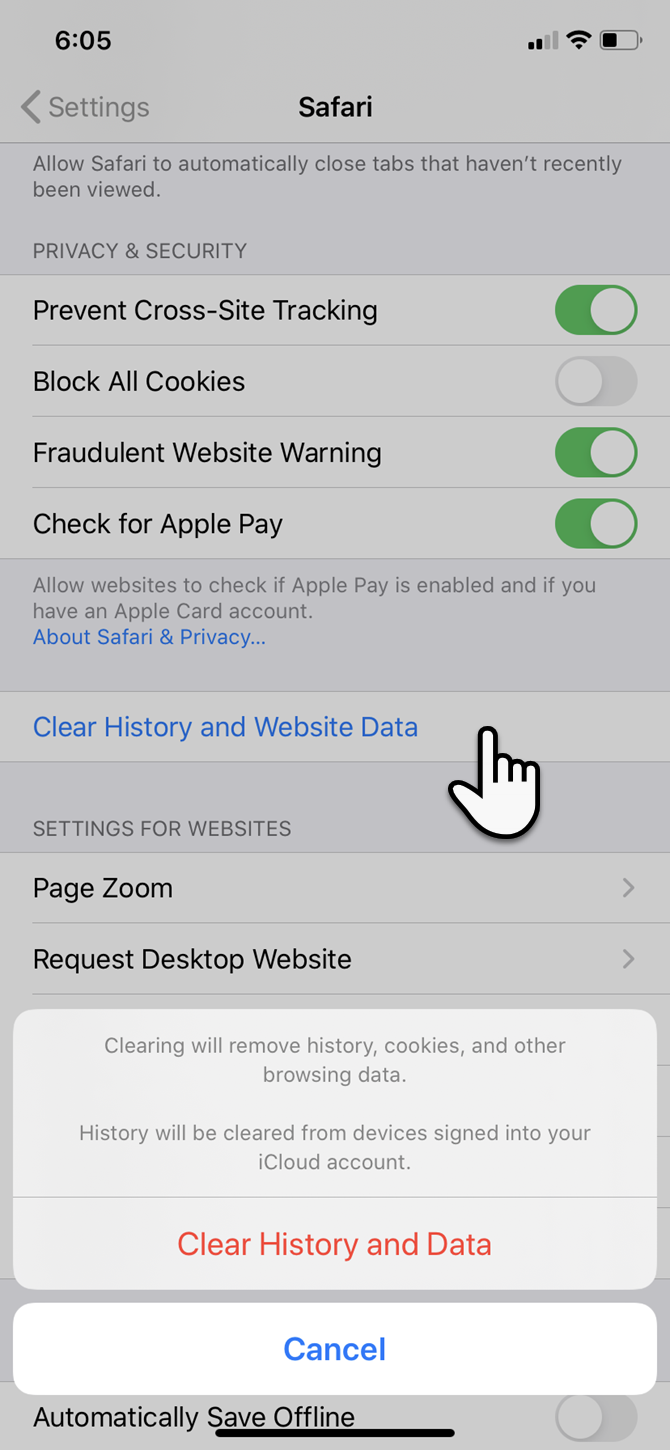 Clear Safari's history and website data