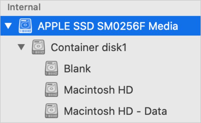Disk Utility sidebar showing parent drive for Mac internal storage