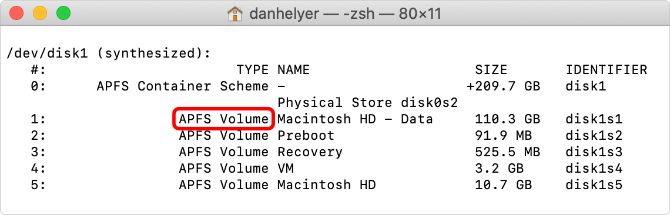 Terminal DiskUtil List Showing Macintosh HD Storage Type