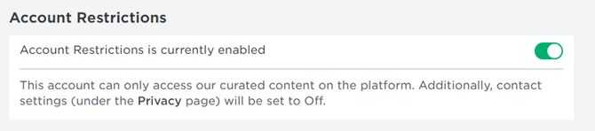 roblox account restrictions