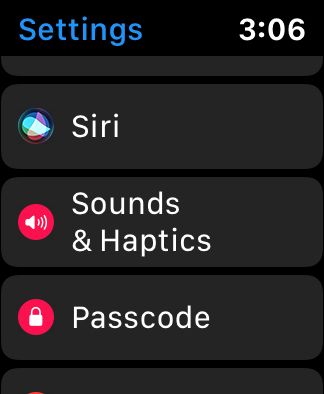 Apple Watch Sounds And Haptics Settings