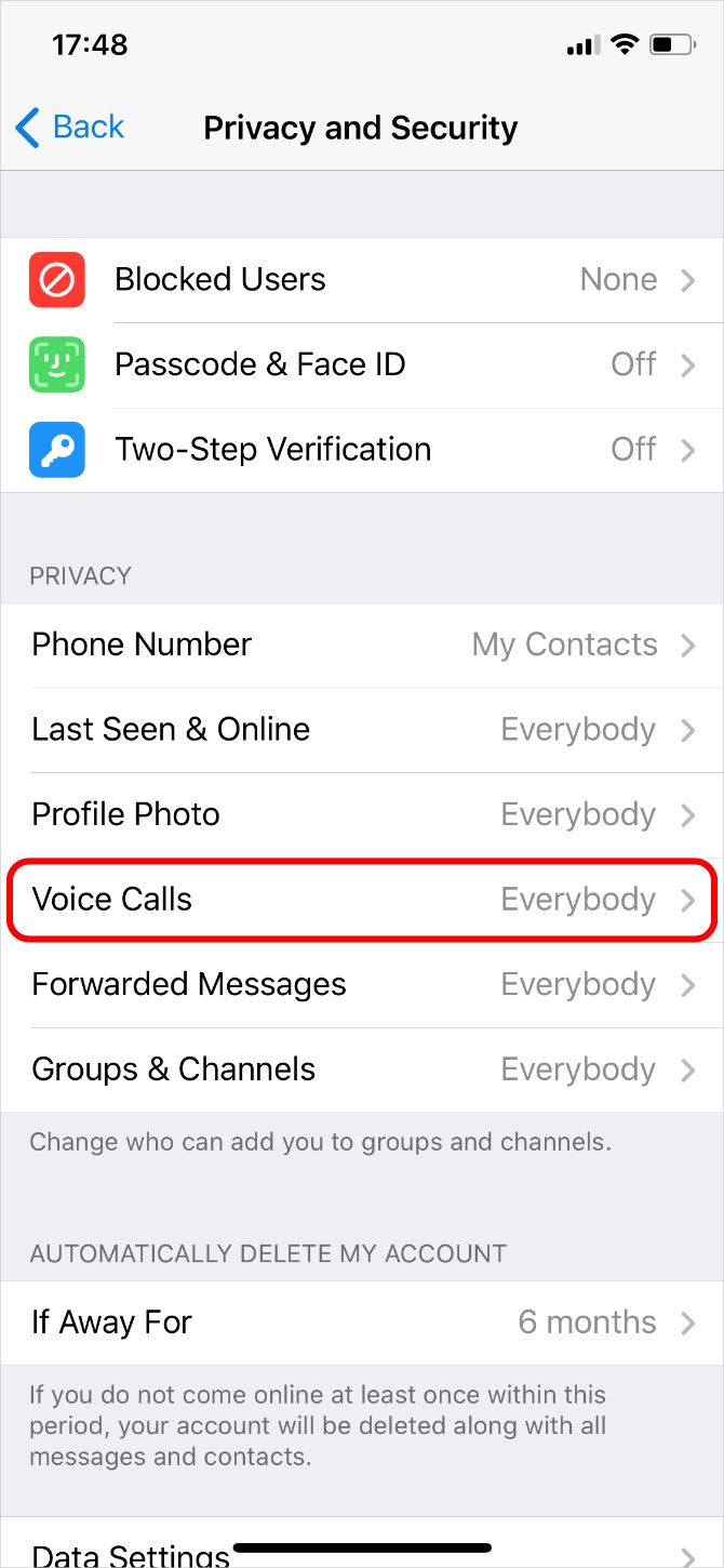 Telegram Privacy Settings showing Voice Calls Options