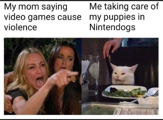 Woman Yelling at Cat Meme